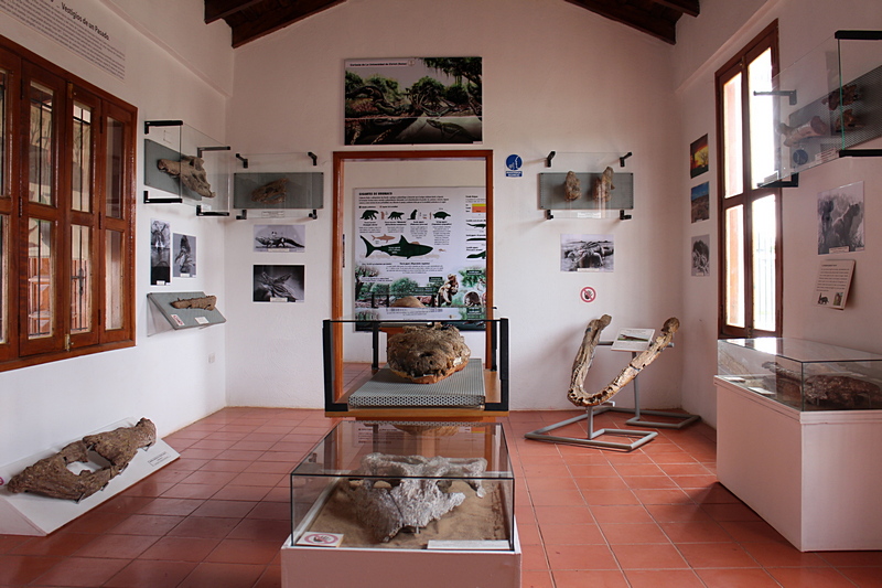 Urumaco Museum