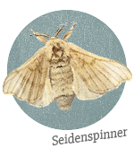 Seidenspinner