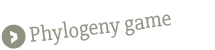 Phylogeny